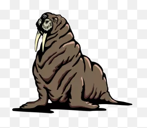 Walrus Flippers Wrinkles - Free Vector Graphic On ClipartFlare