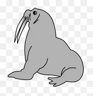 Walrus Animal Tusks - Free Vector Graphic On ClipartFlare