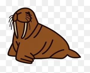 Walrus Clipart. Free Download Transparent .png | ClipartFlare