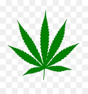 Cannabis Cultivation - Wikipedia