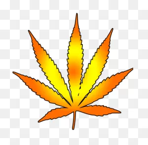 Download Weed Clipart Leaf Draw - Weed Logo Transparent Background ClipartFlare.com 