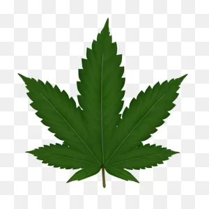Weed Clip Art At ClipartFlare ClipartFlare.com - Vector Clip Art Online, Royalty Free ClipartFlare.com 
