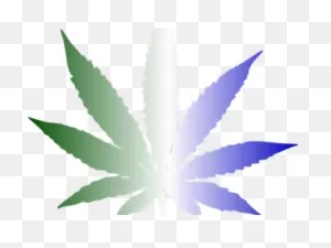 Weed Clipart PNG-WebP - Transparent Background Pot Leaf Clip Art - Png ClipartFlare.com 
