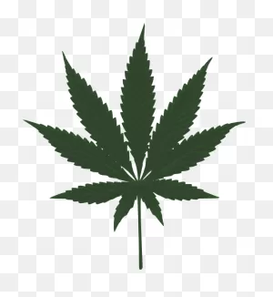 Weed Marijuana Leaf Clip Art N3 Free Image Download