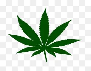 Weed Clip Art At ClipartFlare ClipartFlare.com - Vector Clip Art Online, Royalty Free ClipartFlare.com 