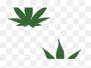 Weed Clipart Easy - Cannabis - Png Download - Full Size Clipart ClipartFlare.com 