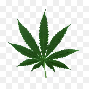 Weed Battery Widget:amazon ClipartFlare.com:appstore For Android
