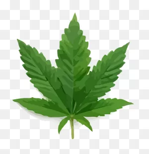 Cannabis Weed Marijuana - Free Image On ClipartFlare