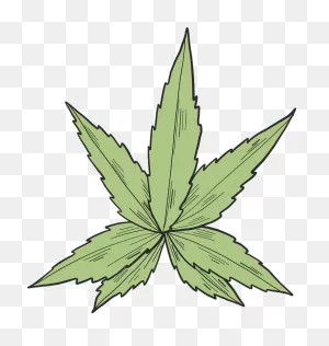 Marijuana Clipart. Free Download Transparent .png | ClipartFlare