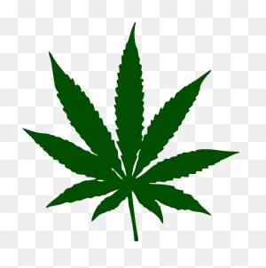 Weed Png Images, Transparent Cannabis Pngs, Drugs (59).png | ClipartFlare