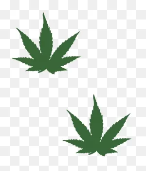 Small Weed Plant Drawing - (510X598) Png Clipart Download