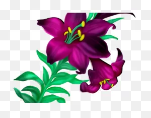 Lily Clipart Violet - Beautiful Flowers Clipart - Png Download ClipartFlare.com 