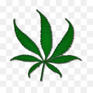 Medical Cannabis Marijuana Joint Cannabis Sativa - Pot Plant Png ClipartFlare.com 