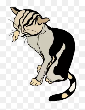 Cat Whisker Clipart Clip Stock Cat Whiskers Tiger Cartoon ClipartFlare.com 