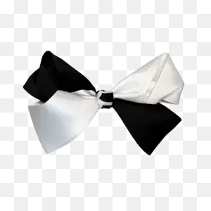 Bow Tie Necktie Bow And Arrow Ribbon White - White Bow Png ClipartFlare.com 