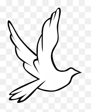 Free White Dove Transparent Background, Download Free White Dove ClipartFlare.com 