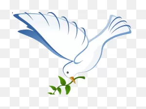 White Dove Clipart In Flight - White Dove - Png Download - Full ClipartFlare.com 