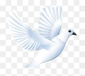 White Dove Clipart Large White - Friedenstaube | Full Size Png ClipartFlare.com 