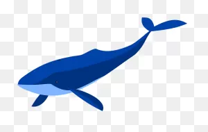 Blue Whale Clipart. Free Download Transparent .png | ClipartFlare