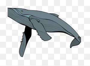 Whale Clipart Big Whale - Vector Whale - Png Download - Full Size ClipartFlare.com 