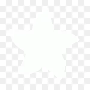 White Star 21 Icon - Free White Star Icons