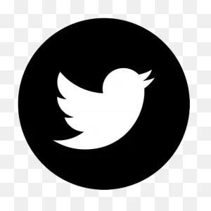 Download White Twitter Bird Png - Twitter Black Icon Png Clipart ClipartFlare.com 