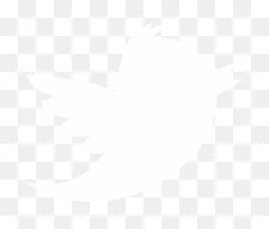 Twitter.png | Ahmad Lab