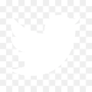 White Twitter Icon - Free White Social Icons