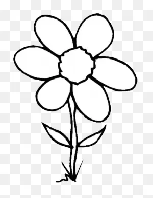 White Flower