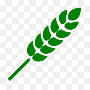 Green Wheat Icon - Free Green Wheat Icons