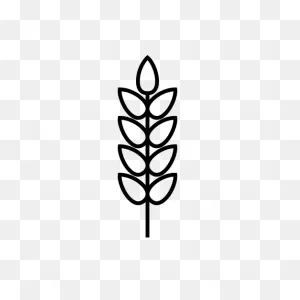 Wheat Free Icon Of 1 - Farm Line Black