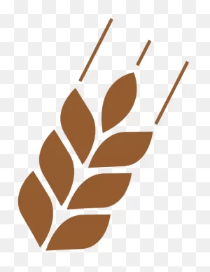 Wheat Icon Clipart - Full Size Clipart (#5662344) - ClipartFlare