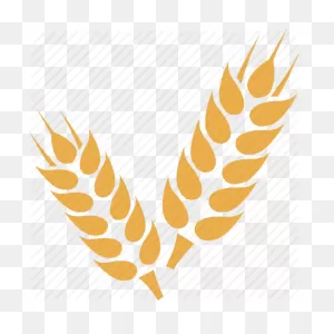 Wheat Cartoon Clipart - Wheat, Agriculture, Yellow, Transparent ClipartFlare.com 