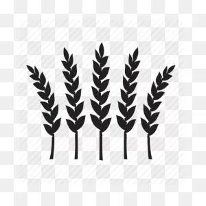 Wheat Icon Png #66215 - Free Icons Library