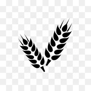 Grain, Wheat, Wheat Crop Icon - Download On Iconfinder