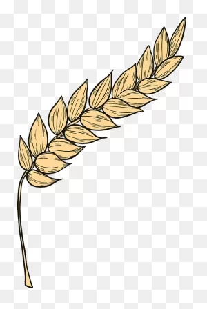 Wheat Clipart. Free Download Transparent .png | ClipartFlare
