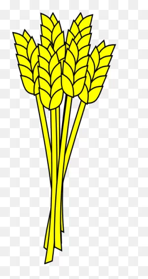 Wheat Clip Art At ClipartFlare ClipartFlare.com - Vector Clip Art Online, Royalty Free ClipartFlare.com 