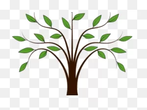 Willow Tree Clipart - Simple Transparent Background Tree Clipart ClipartFlare.com 
