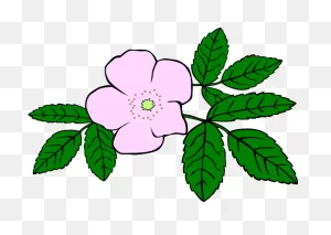 Growing Wild Flowers Sticker By Botanical Paperworks For Ios ClipartFlare.com 