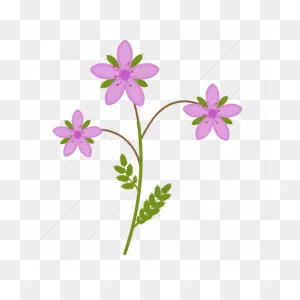 Spring Flower Clipart - ClipartFlare