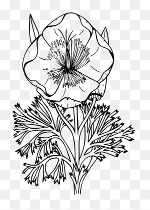 Wild Flower Clip Art - Clipart Best - Clipart Best