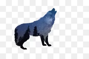 Wolves Wolf Nature - Free Image On ClipartFlare
