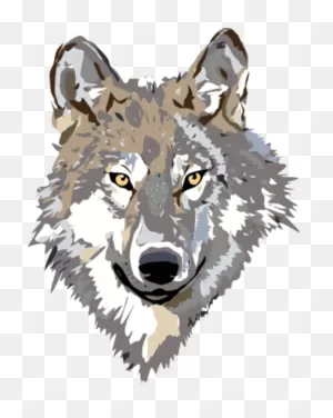 Gray Wolf Clip Art 9Dc4Brkdce - Wolf Head Clipart Transparent ClipartFlare.com 