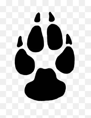 Cougar Dog Lion Animal Track Paw - Dog Png Download - 768*996 ClipartFlare.com 