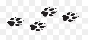 Wolf Paw Print Png | Full Size Png Download | ClipartFlare