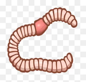 Cute Cartoon Green Worm Sticker By Sandytov | Worm Drawing, Cute ClipartFlare.com 