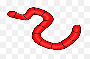 Orange Worm Clip Art | Full Size Png Download | ClipartFlare