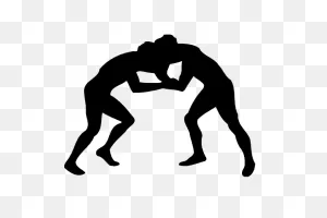 Professional Wrestling Clip Art - Wrestling Png Download - 720*480 ClipartFlare.com 