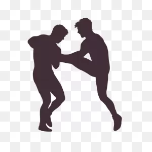 Wrestling Hold Silhouette Transparent Png & PNG-WebP Vector