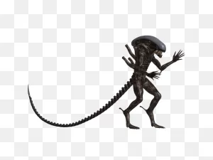 Pin By Jacob On Alien | Xenomorph, Humanoid Sketch, Alien